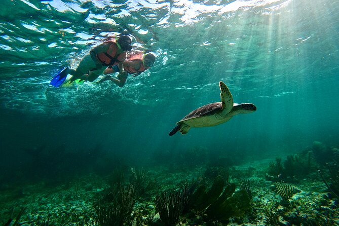 Snorkeling Guided Activity in Puerto Morelos Mexico - Two reef stops near shore: what the snorkeling feels like