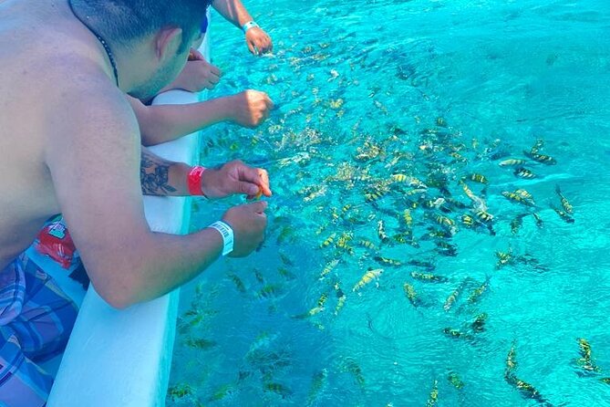Snorkeling in Isla Mujeres and Underwater Museum - How snorkeling time is handled across stops