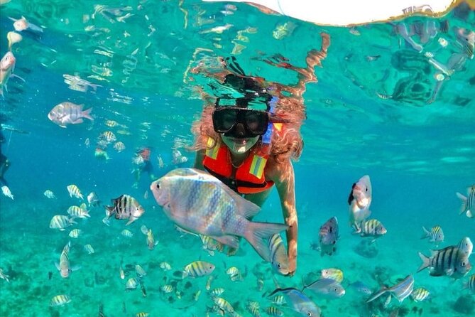 Snorkeling tour Express in Cancun with Certified Guide - Hotel Pickup That Tries to Remove the Headache