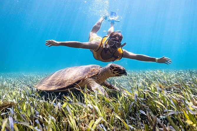 Snorkeling Tour with Turtles and Stingrays Puerto Morelos - Kay Club Marina Base: Lockers, Showers, and a Real Place to Reset