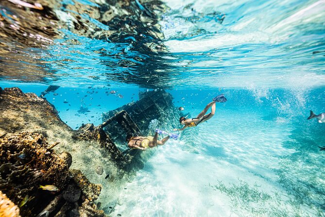 Snorkeling Tour with Turtles and Stingrays Puerto Morelos - On the Water in Puerto Morelos: Reefs, Statues, and How to Enjoy the Swim