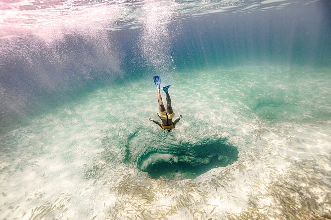 Snorkeling Tour with Turtles and Stingrays Puerto Morelos - Marina Time + Food: How to Plan the Rest of Your Day