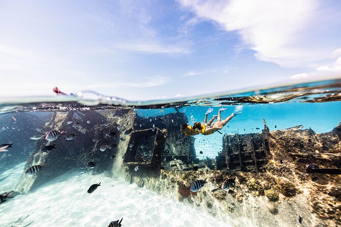Snorkeling Tour with Turtles and Stingrays Puerto Morelos - Who This Tour Suits Best (And Who Might Want Another Option)