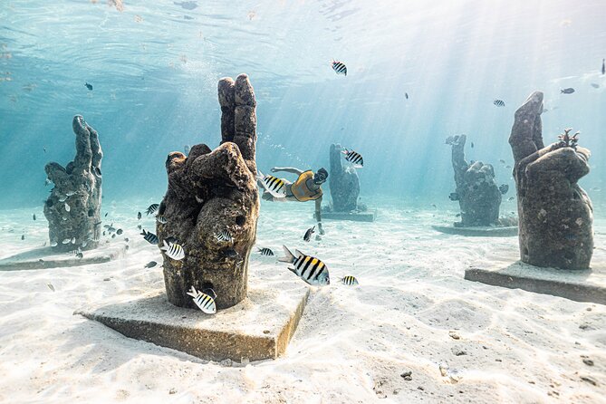 Snorkeling Tour with Turtles and Stingrays Puerto Morelos - Getting There From Cancun: Pickup, Transfer, and Staying on Time