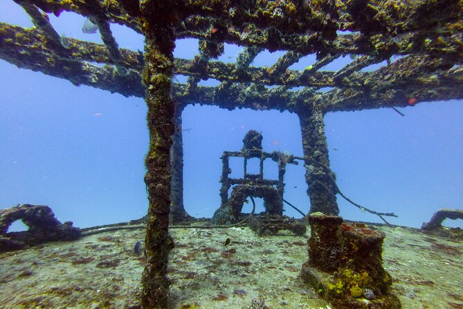 SPECIAL!! 2 Tank Wreck & Drift Reef dives - Price and the one extra cost to plan for