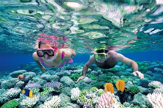 Special offer COMBO 2x1 (Tour to Isla Mujeres and Chichén Itzá ) for 1 price! - Price and logistics: what $159 buys, and what to expect