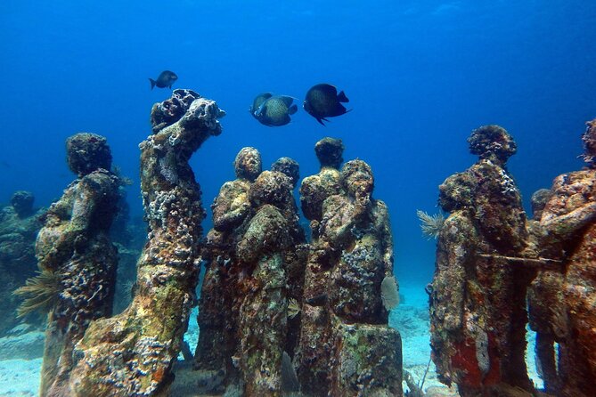 SPECIAL! Snorkel at MUSA - The Underwater Museum Reservation - Group Size and Mixed Packages: What to Watch For