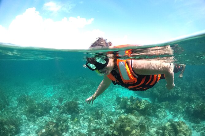 Speed boat aventure and snorkel - Stop 2: 30-minute snorkel with included gear (and weather reality)