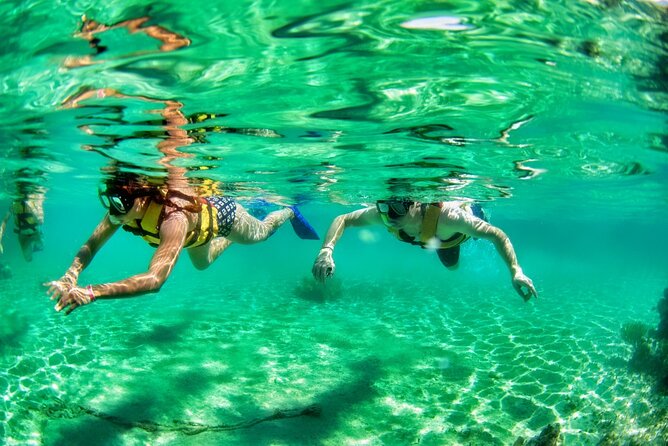Speedboat across the Mangroves & Snorkel with Jet Ski Rental - MUSA Underwater Museum: Art You Actually See, Not Just Hear About