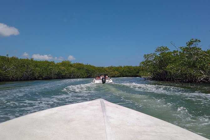 Speedboat and snorkel tour: Single Passenger Boat - Price and Extra Fees: What You Pay vs What You’ll Owe