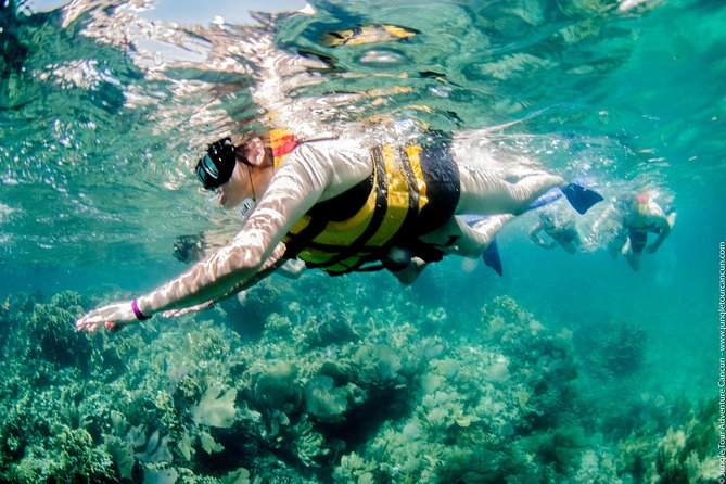 Speedboat and snorkel tour: Single Passenger Boat - Small Group Size Means Faster Coaching and a Calmer Pace
