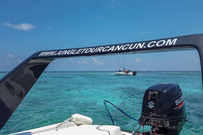 Speedboat and snorkel tour: Single Passenger Boat - Who Should Book (and Who Should Skip) This Speedboat + Snorkel