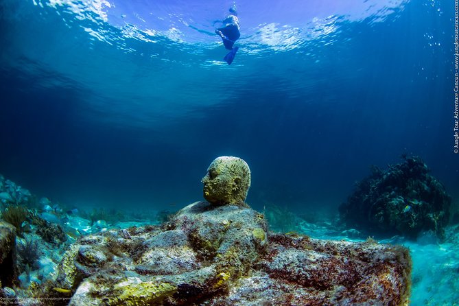 Speedboat and snorkel tour: Single Passenger Boat - Practical Tips: Gear, ID Rules, and How to Avoid Day-Of Stress