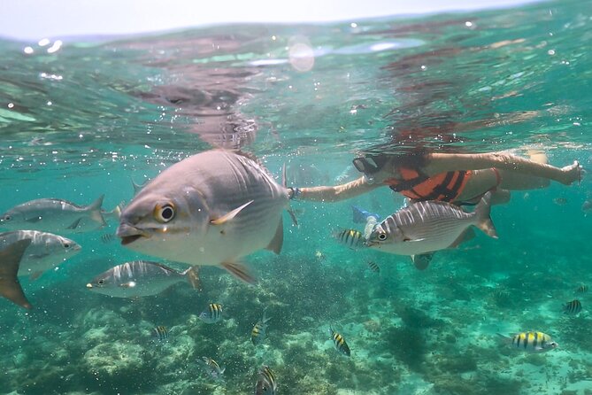 Speedboat and Snorkeling in Cancun with Mayan Ceremony & Tasting - Spiritual welcome: the Mayan purification ceremony (20 minutes)