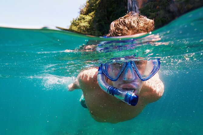 Speedboat Excursion: Thrilling Drive & Snorkel in Cancun Lagoon! - Snorkeling Session: Gear Included, Guides On Hand, and What to Expect