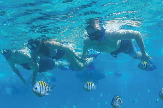 Speedboat Excursion: Thrilling Drive & Snorkel in Cancun Lagoon! - Group Size, Timing, and the Real-World Flow of the Day