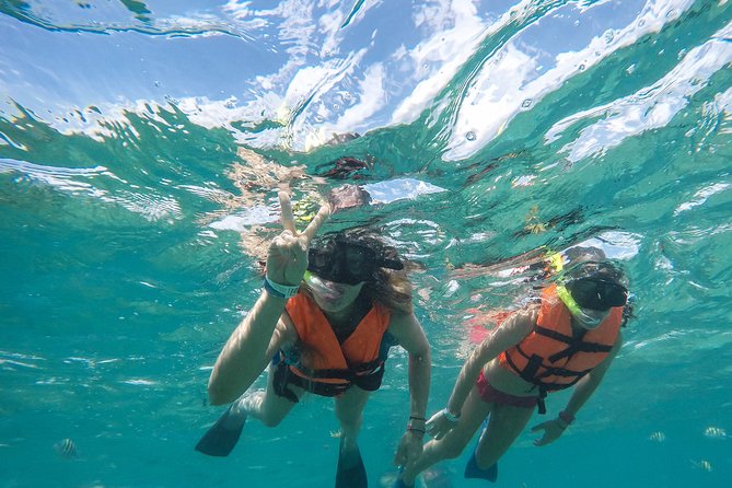 Speedboat jungle tour and snorkel - Price Reality: What’s Included, What’s Not, and How to Budget