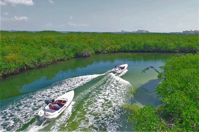 SpeedBoat Jungle Tour + Snorkel Experience in Cancun - What to Know About Tickets and Confirmation