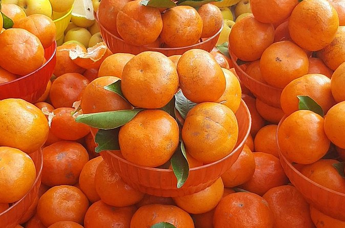 Steps Full of Flavor, Cancun Foodie & Market Tour - Best for Who? Pick This Tour If You Want Local Food Without Guesswork