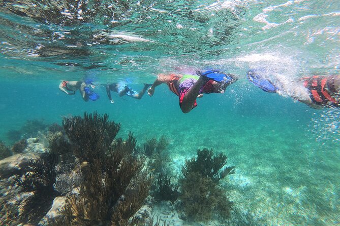 Super Combo ATV in Cancun with Zipline, Snorkel, Cenote, transfer - Puerto Morelos reef park snorkeling: practical expectations