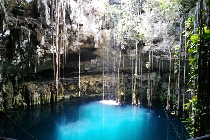 Swim with turtles + snorkelling + archaeological zone of Tulúm + cenote - Transport and guide quality: private tour in name vs private in practice