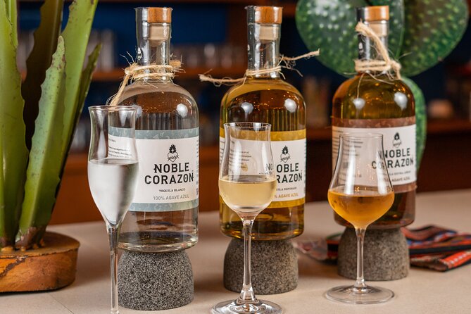 Tequila Tasting and Mixology Experience in Cancun - The 1-hour flow: history, tasting, then your own cocktail