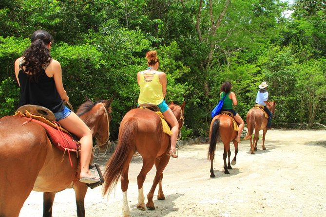 The best ATVs, zipline, cenote tour with lunch and transportation - Group Size, Safety, and Phone Rules You Should Know