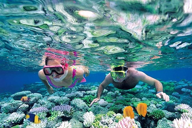 The Best Catamaran Tour to Isla Mujeres from Cancún - Onboard open bar: fun, not a reason to lose your day