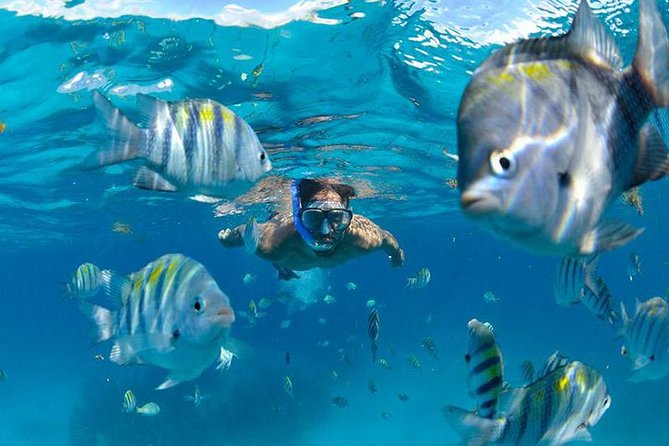 The Best Catamaran Tour to Isla Mujeres from Cancún - Group size and timing: why “up to 50 people” feels workable
