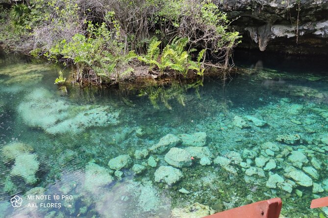 The great snorkeling adventure at the Riviera Maya private tour - Price and value: what $513.17 per person buys you