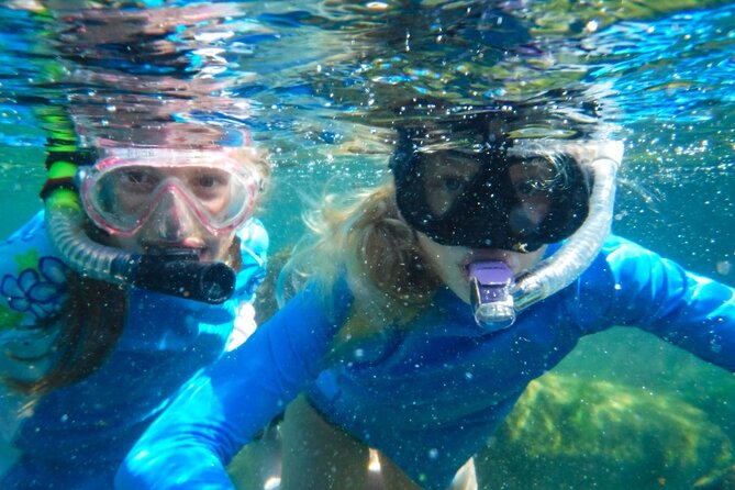 The great snorkeling adventure at the Riviera Maya private tour - Quick planning tips so your day feels easy