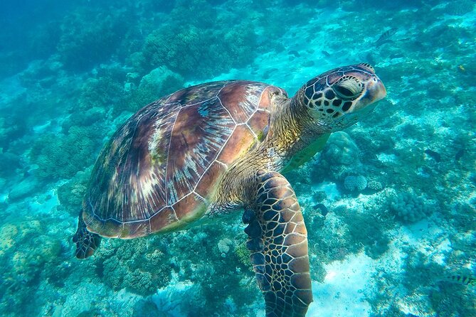The great snorkeling adventure at the Riviera Maya private tour - Cenote Santa Cruz: open cenote time plus underground water cave
