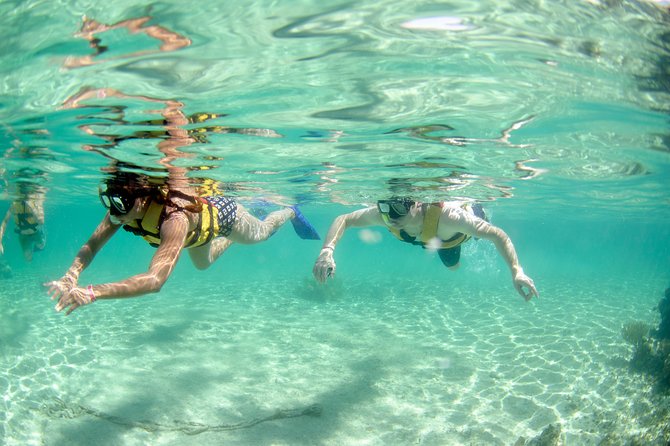 The most Intrepid Speedboat Adventure in Cancun Snorkel included - Transportation and Meeting Points: The Part You Must Confirm