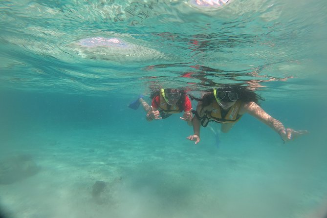 The most Intrepid Speedboat Adventure in Cancun Snorkel included - Price and Value: Is $55 a Smart Deal?