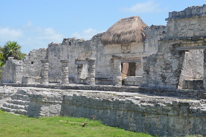 Tour 4 Cenotes House Turtle Tulum - Tulum Ruins: History With Cliff Views (and a Guide Who Explains)
