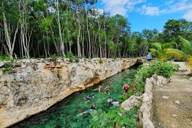 Tour 4 Cenotes House Turtle Tulum - Casa Tortuga Cenotes: Four Swims, Vests, and Real Water Time