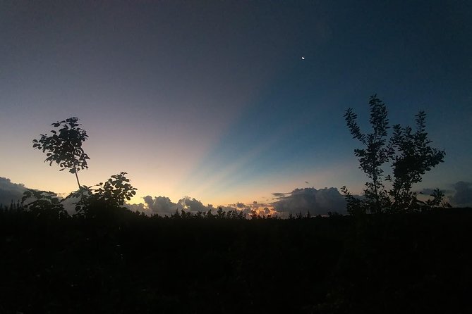 Tour Herpetologico - La Ruta de los Cenotes: What You’re Actually Doing on the Walk