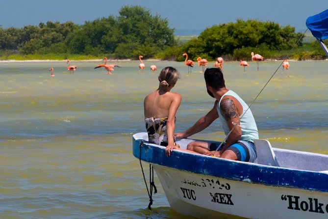 Tour to Las Coloradas Pink Waters and Boat Ride in Rio Lagartos with Lunch. - Meals included: breakfast box and lunch you can actually plan around