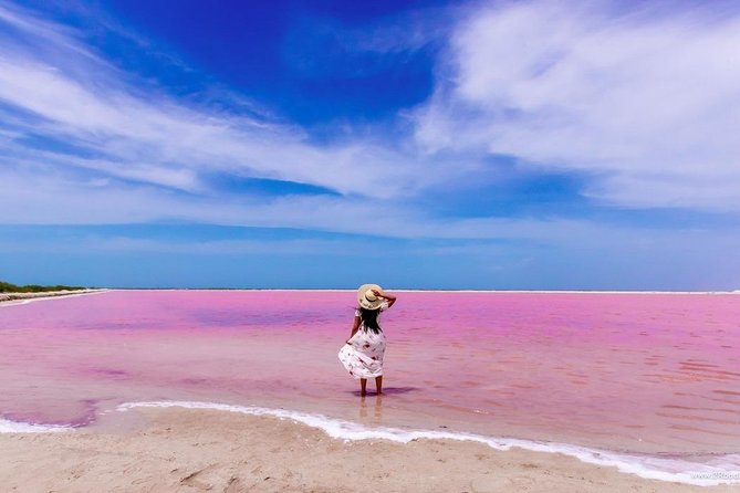 Tour to Las Coloradas Pink Waters and Boat Ride in Rio Lagartos with Lunch. - The extras that can change your cost