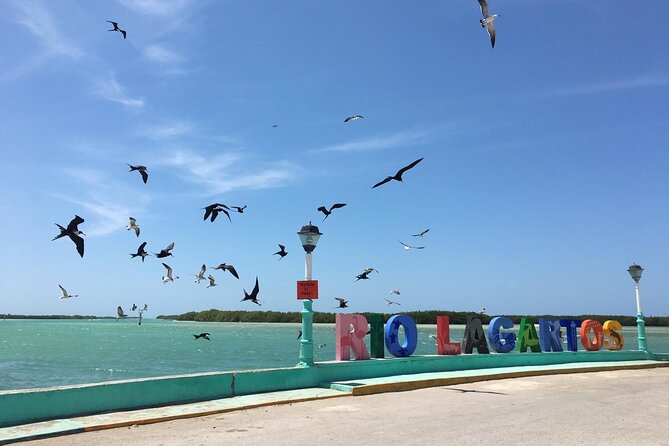 Tour to Las Coloradas Pink Waters and Boat Ride in Rio Lagartos with Lunch. - Logistics red flags to watch (and how to avoid them)