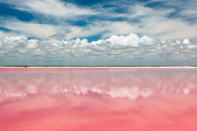 Tour to Las Coloradas Pink Waters and Boat Ride in Rio Lagartos with Lunch. - Cancun pickup and the reality of a long day