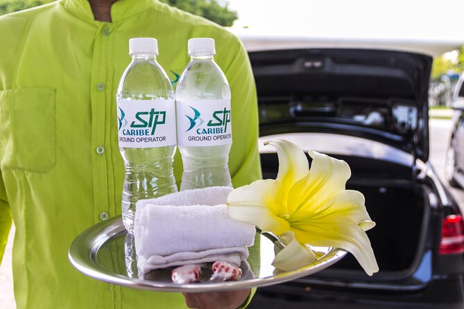Transfer in Luxury Mercedes Benz Minivan - The Ride Itself: Mercedes-Style Comfort, WiFi, and Cold Drinks