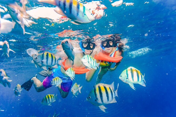 Trip to Isla Mujeres by Catamaran, with snorkeling and drinks - Who should book this catamaran to Isla Mujeres