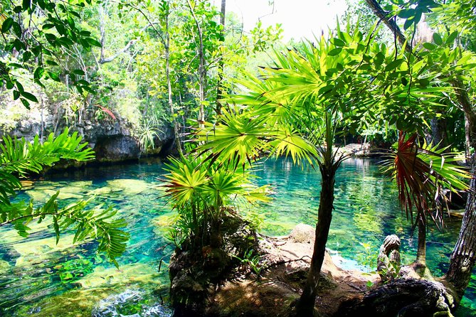 Tulaka Cenote Experience - Cancun-to-cenote logistics: the value of pickup and private transport