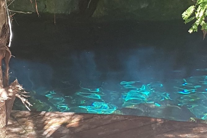 Tulaka Cenote Experience - Timing and weather: why the day works only when conditions cooperate