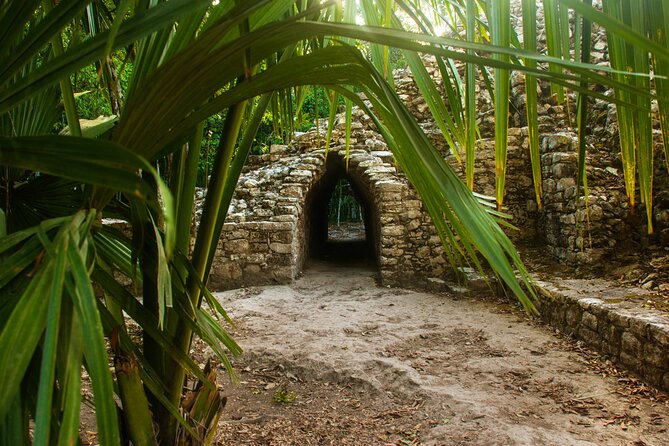 Tulum, Coba & Cenote All-Inclusive Tour - Playa del Carmen Quinta Avenida: 50 Minutes To Catch The Vibe