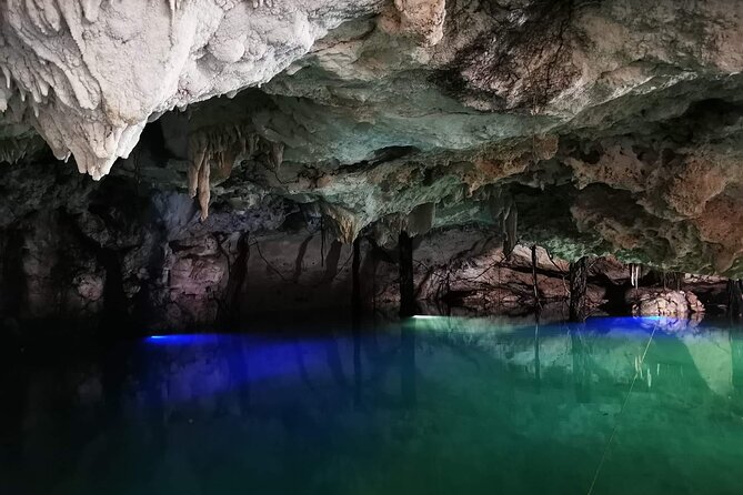 Tulum, Coba, Cenote, and Mayan Ceremony Full-Day Tour plus Lunch - Price and fees: is $95 a good deal once you add everything?