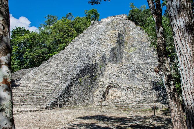 Tulum, Coba, Cenote Kuxtal and Playa Del Carmen! Deluxe 4x1 Tour - Playa del Carmen’s Quinta Avenida: One Hour, Big Atmosphere