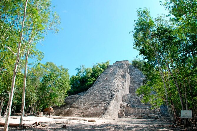 Tulum, Coba, Cenote & Playa Del Carmen! Full Mayan Experience - Cenote Swim: What You’ll Get in Your 1-Hour Water Time