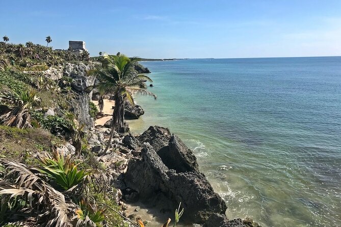 Tulum,Coba,Cenote & Playa Del Carmen + Transportation from Cancun - Playa del Carmen for an hour: 5th Avenue with a tight time box